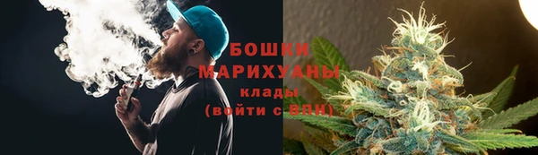 ГАЛЛЮЦИНОГЕННЫЕ ГРИБЫ Аркадак