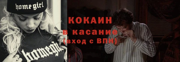 ГАЛЛЮЦИНОГЕННЫЕ ГРИБЫ Арсеньев