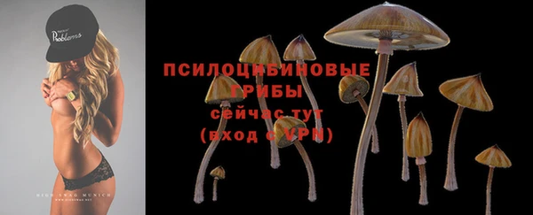 таблы Армянск