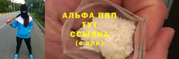 стаф Щёлкино