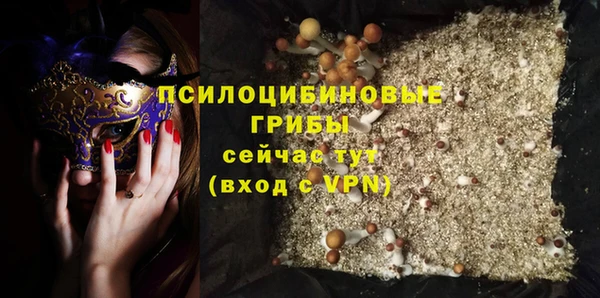 ГАЛЛЮЦИНОГЕННЫЕ ГРИБЫ Аркадак