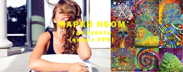 ГАЛЛЮЦИНОГЕННЫЕ ГРИБЫ Арсеньев