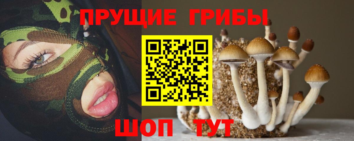Псилоцибиновые грибы Psilocybine cubensis  Вход с VPN  Нефтекамск  Псилоцибиновые грибы Psilocybine cubensis 